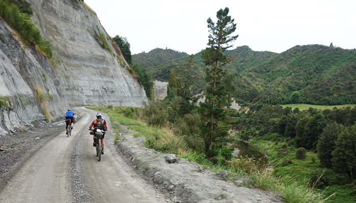 mountains to sea connection